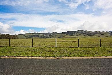 经典IP惊喜回归 《宝可梦：皮卡丘和可可的冒险》正式定档9月10日