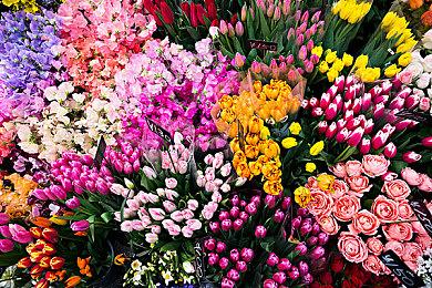 《女神异闻录3：Reload》特别版视频公开 2024年发售